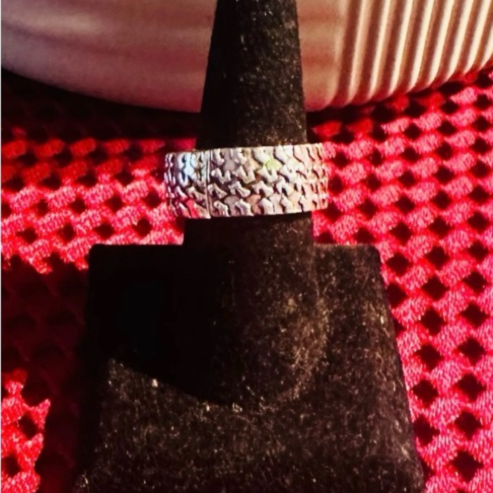 Paparazzi Textured Silver Ring